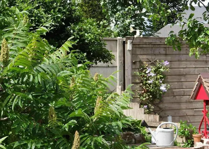 Clos Des Paquerettes : Maison Avec Jardin Privatif * Yvetot